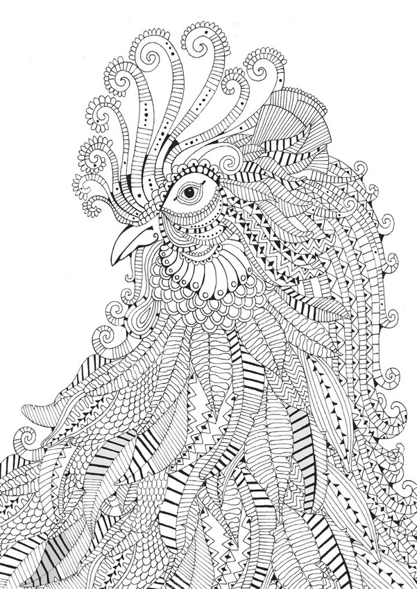 Art Therapy coloring page animals : Rooster 1