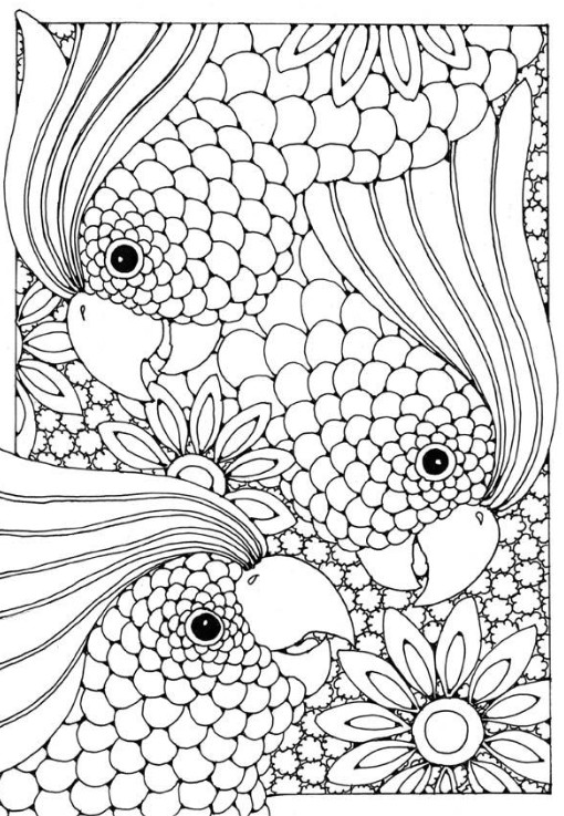 Art Therapy coloring page animals : Parrots 1