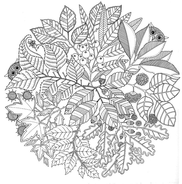 Art Therapy coloring page Autumn  Mandala Autumn 1