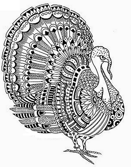 i am thankful for animals coloring pages - photo #30