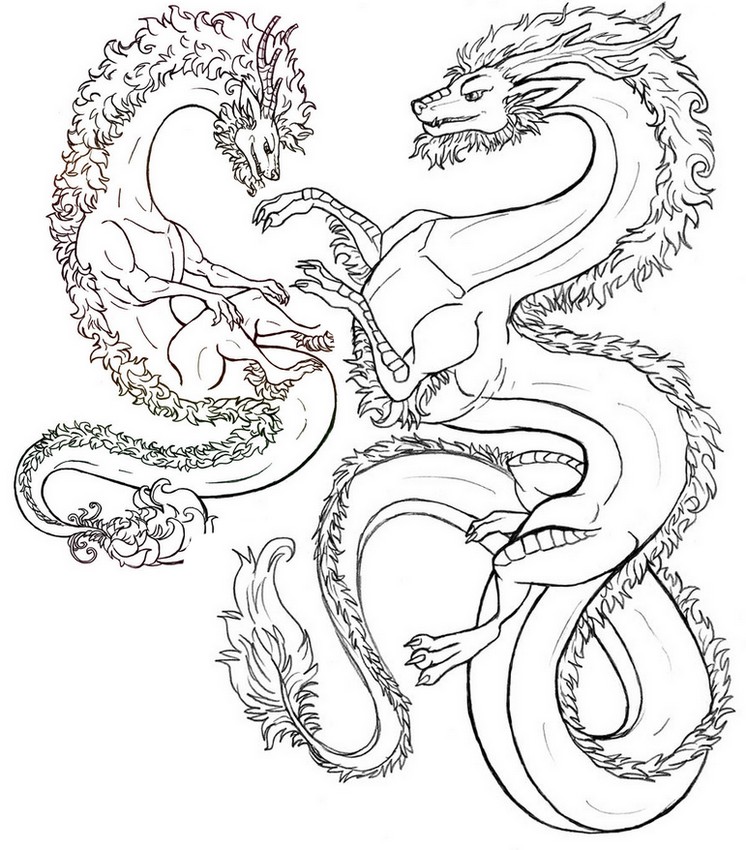 ausmalbild zentangel drachen  ausmalbilder kostenlos zum