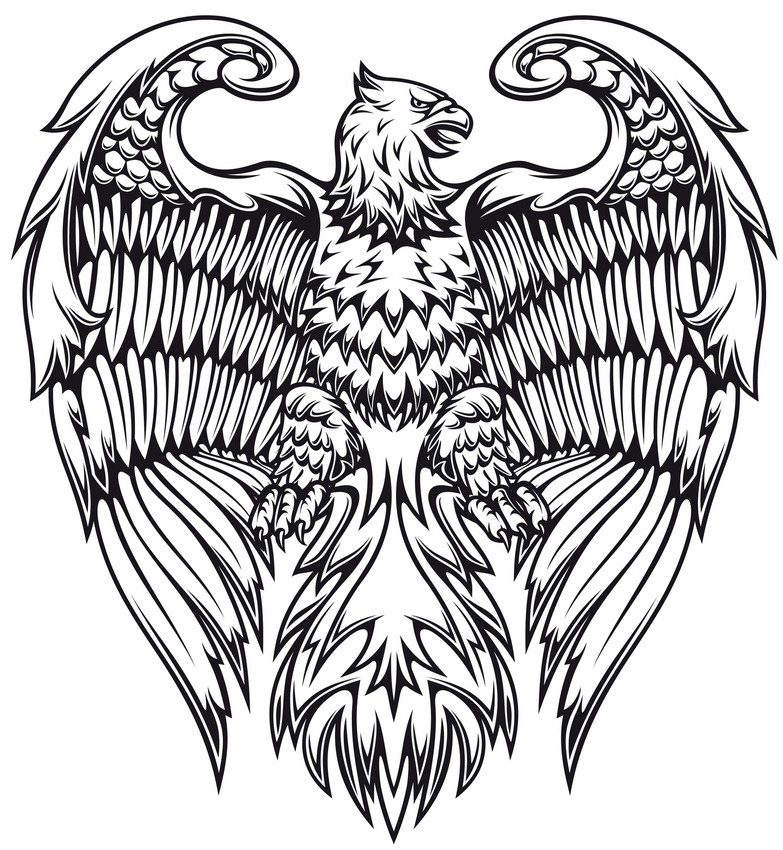 eagle coloring pages for adults - photo #40