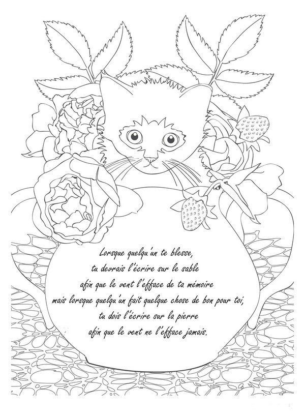 Coloriage Magique Types De Phrases