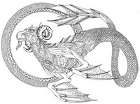 Art Therapy coloring page Capricorn