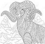 Desenho para colorir anti stress Ibex