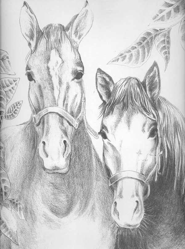 Desenho de Cavalo de carrossel para colorir