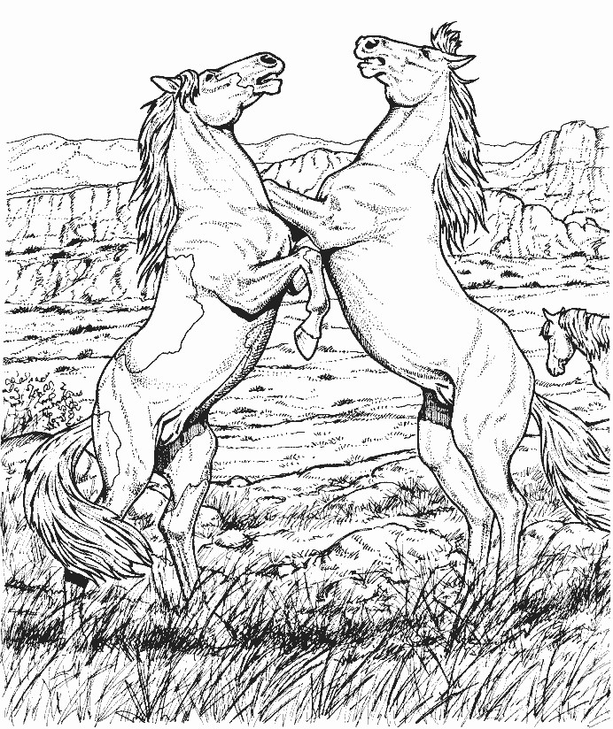 Why Everything You Know About Coloring Pages Of Horses For Adults Is A