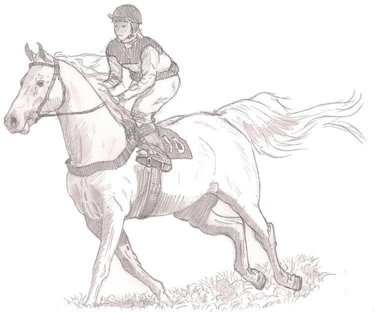Desenho de Cavaleiro a cavalo para Colorir - Colorir.com
