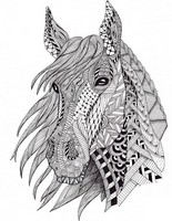 Coloriage anti-stress Tête de cheval