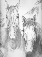 Dibujo para colorear relajante Caballos