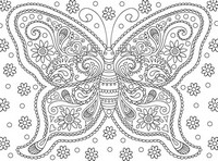 Coloriage anti-stress Papillon