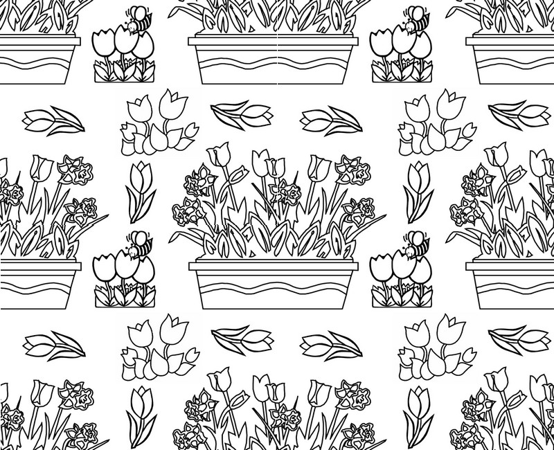 Flowers: tulips 