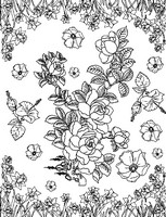 Coloriage anti-stress Fleurs: narcisses et roses