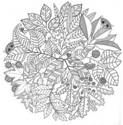 Coloriage anti-stress Mandala Automne