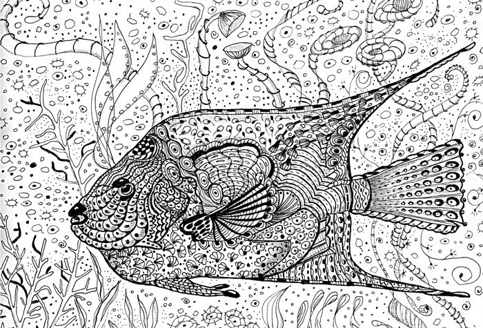 Peixe