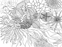 Coloriage anti-stress Soleil et fleurs d'été