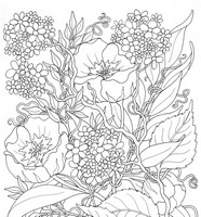 Dibujo para colorear relajante Flores