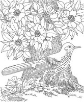 Coloriage anti-stress Oiseau