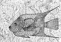 Coloriage anti-stress Poisson