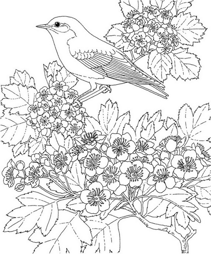 Oiseau sur une branche en fleurs