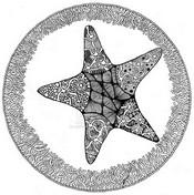 Dibujo para colorear relajante Estrella de mar