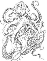 Coloriage anti-stress Kraken